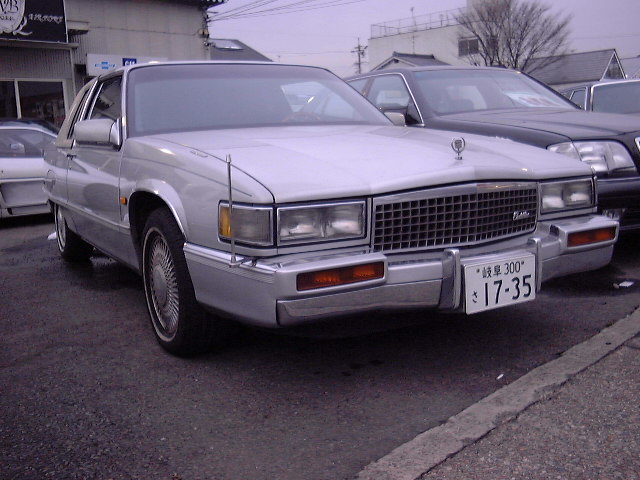 LfbN