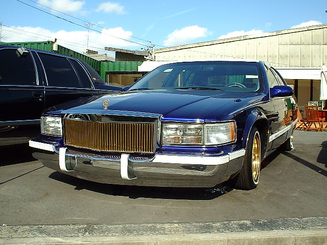 LfbN